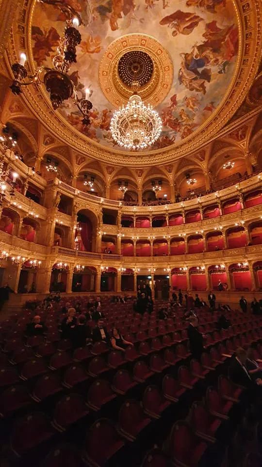 历时五年,掷金上亿,匈牙利国家歌剧院再现十九世纪辉煌 (http://www.cngai.com/) 艺教资讯 第15张